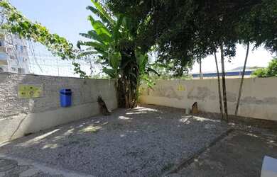 Imagem 15: Apartamento para venda tem 48 metros quadrados com 1 quarto em Trindade...