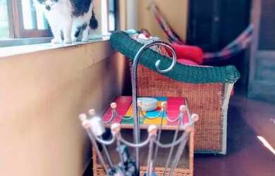 Imagem 12: Casa no centro Casa com 3 dormitórios