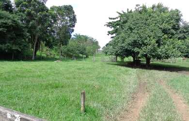 Imagem: FAZENDA A VENDA À APENAS 18 km DE JANDÁIA Fazenda à Venda