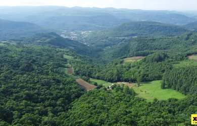 Imagem 8: Sítio / Chácara para Venda em Nova Petrópolis, Linha Olinda, 3 dormitórios,...