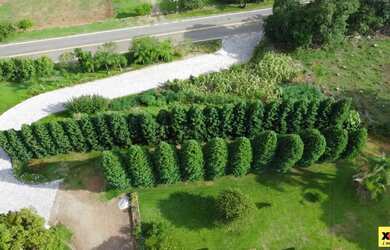 Imagem 7: Sítio / Chácara para Venda em Nova Petrópolis, Linha Olinda, 3 dormitórios,...