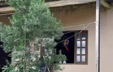 Imagem: A casa possui 2 Dormitórios, 1 Banheiro e está localizado