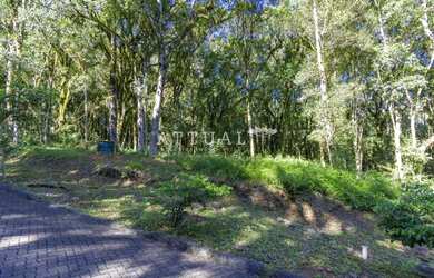 Imagem 4: TERRENO EM CONDOMÍNIO COM INFRAESTRUTURA