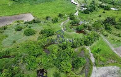 Imagem 10: Fazenda, Centro, Cardeal da Silva - R$ 5 mi, Cod 68601