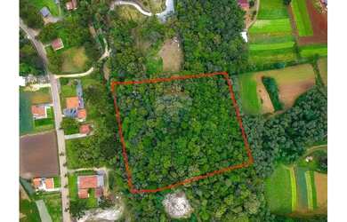 Imagem 14: Terreno Rural à venda área 18.556,11m² - Águas Fervidas Colombo/Pr