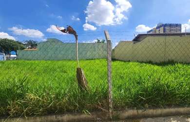 Imagem 11: Terreno, 500 m² - venda por R$ 1.200.000,00 ou aluguel por R$ 5.810,00/mês...