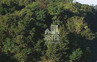 Imagem 5: Fazenda em Santa Maria Madalena 7.421 Hectares no Bioma Mata Atlântica...