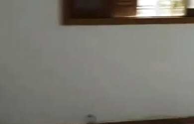 Imagem 2: Aluga-se ANUAL apartamentos 1 quarto frente ao mercado Koch Inglese Florianópolis