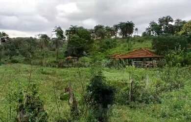 Imagem 5: Fazenda Capão Preto - Tiros - MG
