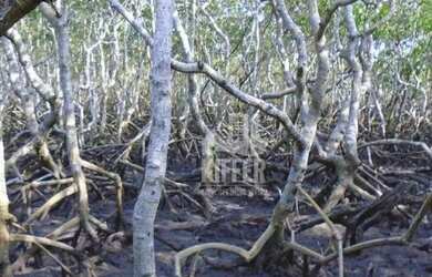 Imagem 6: Fazenda em Santa Maria Madalena 7.421 Hectares no Bioma Mata Atlântica...