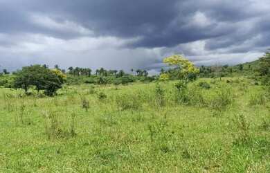 Imagem 9: Fazenda Capão Preto - Tiros - MG