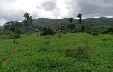 Imagem 8: Fazenda Capão Preto - Tiros - MG