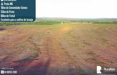 Imagem: A fazenda possui 270m² de Área e está localizado em Prata