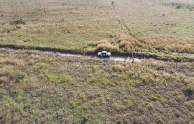 Imagem 7: Oportunidade Fazenda Campo Novo Do Parecis