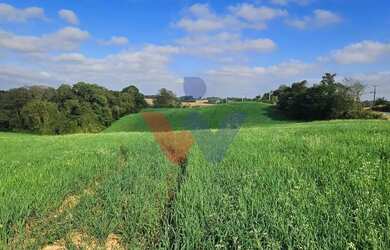 Imagem 12: Chácara 20.000m em Araucária Frente Asfalto, Vista Linda e Zona de Expansão...