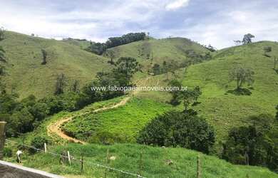 Imagem 11: Fabio Paes Imóveis - Fazenda a venda com 484 ha com Geo e capacidade 450 vacas
