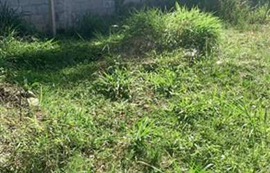 Imagem 6: Terreno em Ipelândia. 1.000m² de Área