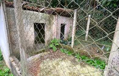 Imagem 1: Chacrinha oportunidade única 800 mts do asfalto 3900