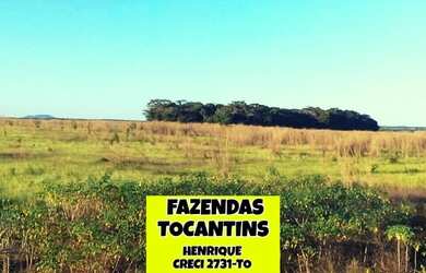 Imagem 8: Fazenda Araguacema. 145.200m² de Área