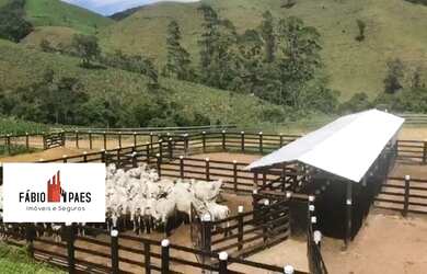 Imagem 1: Fabio Paes Imóveis - Fazenda a venda com 484 ha com Geo e capacidade 450 vacas