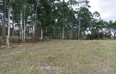 Imagem: A fazenda está localizado em Porto Feliz, SP à venda por R$380.000