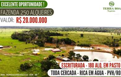 Imagem: A fazenda possui Imóvel novo e está localizado em Igarapé