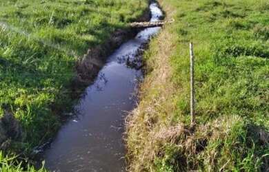 Imagem 4: Lote/Terreno para venda com 23000 metros quadrados em Zona Rural - Balneário Piçarras - SC