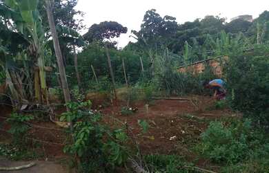 Imagem: O terreno possui 130m² de Área e está localizado em Boca