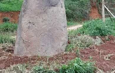 Imagem 3: Fazenda avenda. 60.000m² de Área