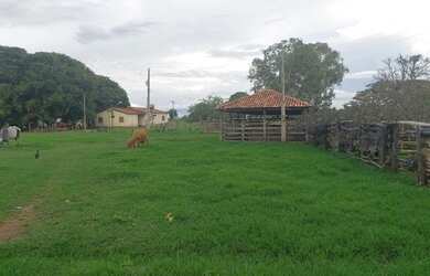 Imagem: A fazenda está localizado em Buritis, MG à venda por R$20.000.000