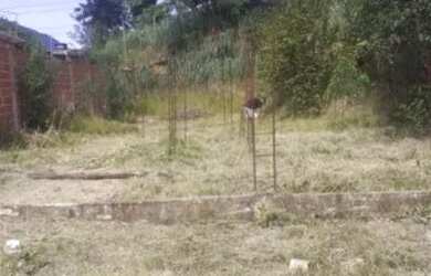 Imagem: O terreno possui 70m² de Área e está localizado em Campo