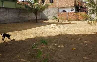 Imagem 4: Lote 300m2 - Vista do mestre