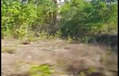 Imagem 5: Vendo fazenda em Rio Sono TO