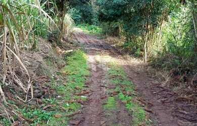 Imagem 8: Terreno em Nova Petrópolis na Serra Gaúcha