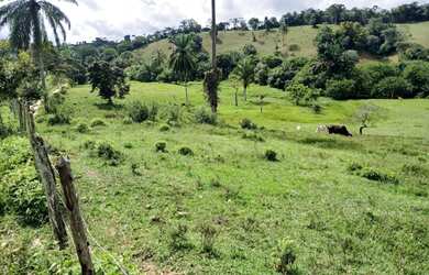 Imagem 4: Vendo excelente fazendinha em Nazaré das farinha