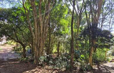 Imagem 4: Chácara próximo a show rural