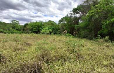 Imagem 10: TERRENO RURAL 5.264 m² - / ANTÔNIO OLINTO - MONTES CLAROS MG