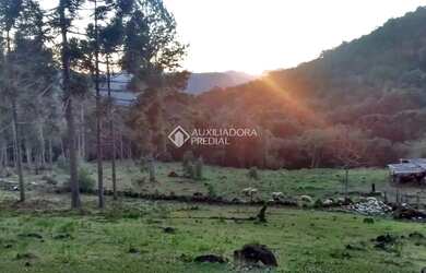 Imagem 2: Lindo sítio à venda em Canela, na encantadora Serra Gaúcha