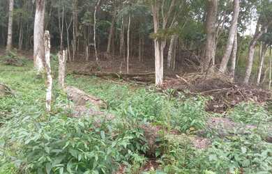 Imagem 2: Oportunidade 3 mil mts 57 mil reais