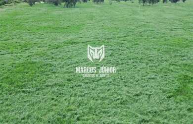 Imagem 7: FAZENDA FORMADA NA REGIÃO DE JANAUBA E CAPITÃO ENEIAS MG PARA PECUARIA...