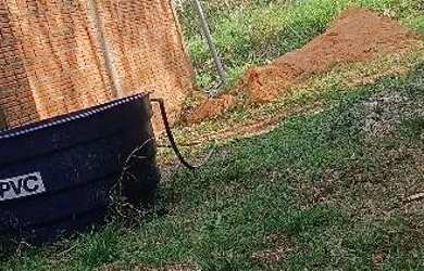 Imagem: A casa possui 2 Dormitórios, 2 Banheiros e está localizado