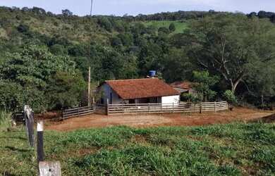 Imagem 4: Fazenda 53 Alqueires 20 km Niquelândia Goiás