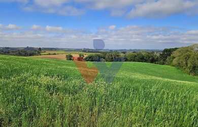 Imagem 3: Chácara 20.000m em Araucária Frente Asfalto, Vista Linda e Zona de Expansão...