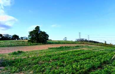 Imagem 6: Lote/Terreno para venda tem 500 metros quadrados em Jardim São Pedro...