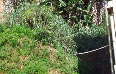 Imagem 4: Excelente Terreno para venda com 150 metros no em Trobogy metros