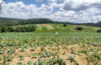 Imagem 5: Lote/Terreno para venda tem 500 metros quadrados em Jardim São Pedro...