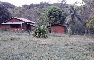 Imagem 2: Fazenda, a 59 km de Palmas, 6.8 Alqueires, Água por Gravidade