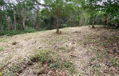 Imagem 2: Chacrinha oportunidade única 800 mts do asfalto 3900