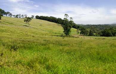 Imagem 11: Vendo meu lote em Nazaré Paulista