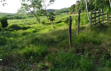 Imagem 5: Lote/Terreno para venda com 23000 metros quadrados em Zona Rural - Balneário Piçarras - SC